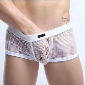 Mesh trunk briefs